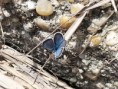 /album/natur-und-tier-fotos/a343-jpg/