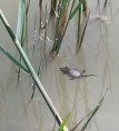 /album/natur-und-tier-fotos/a357-jpg/
